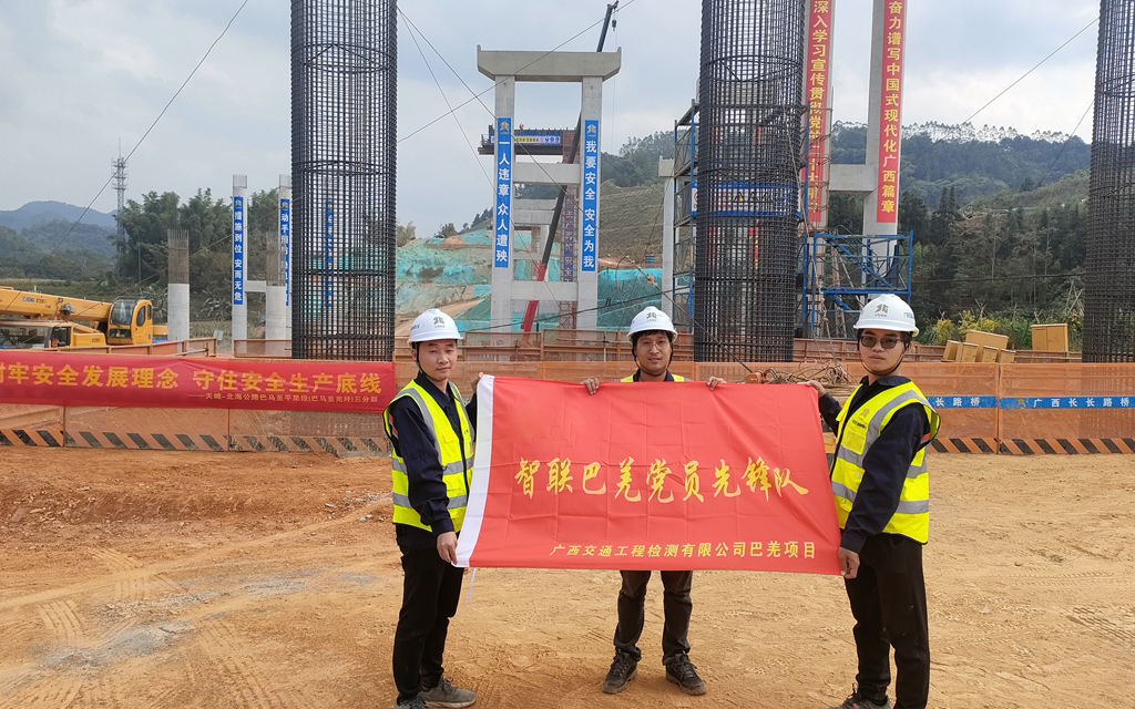 智联巴羌党员先锋队.jpg